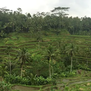 Pangkung House Homestay