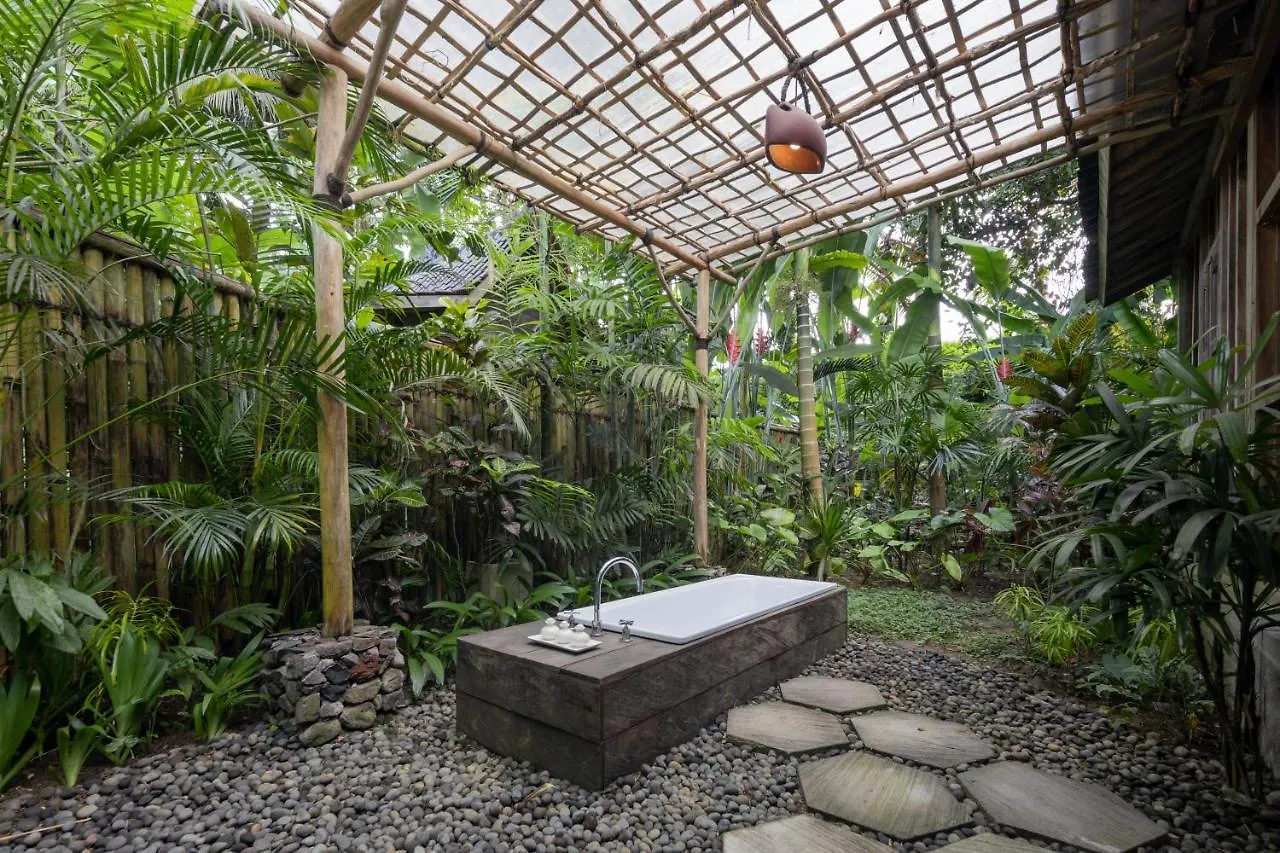 Korurua Dijiwa Ubud Indonesia