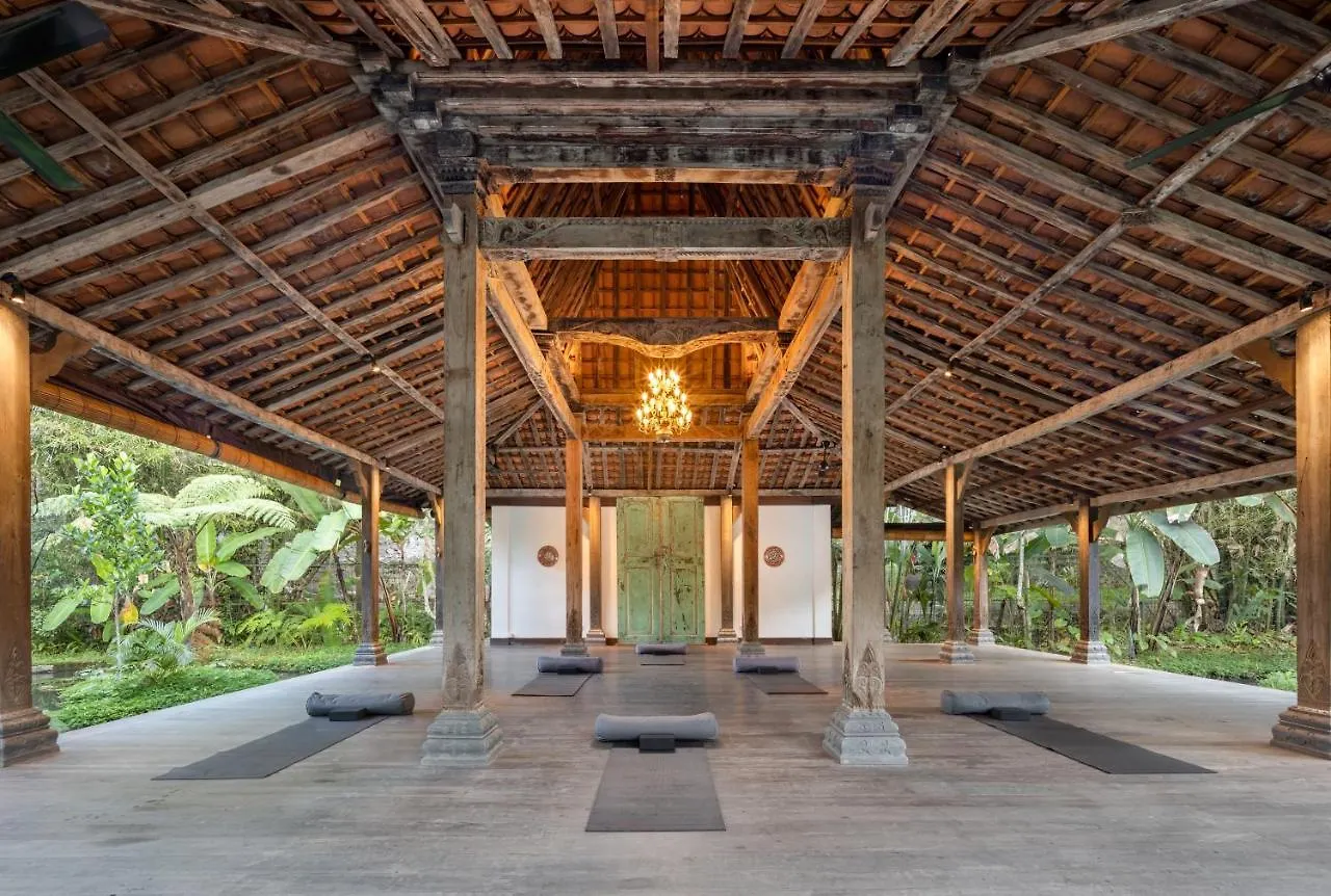 Korurua Dijiwa Ubud Indonésie